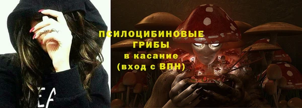 экстази Богданович