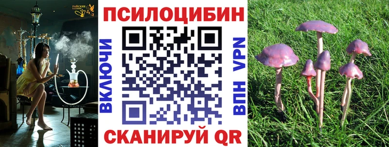 Галлюциногенные грибы мухоморы  где продают   Бор 