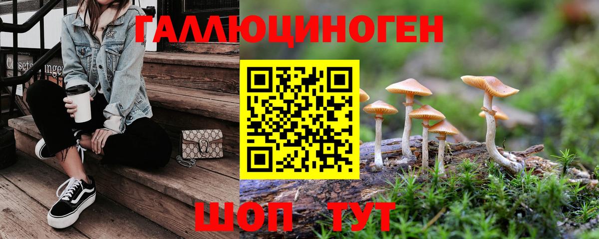 Галлюциногенные грибы прущие грибы Бор