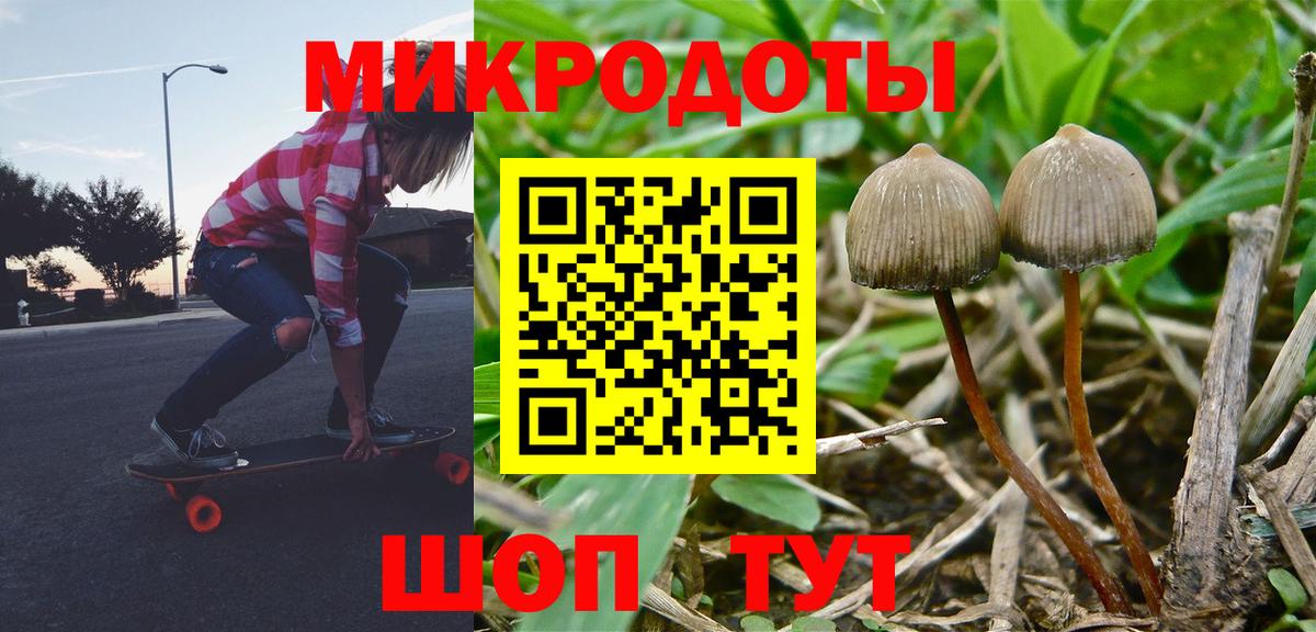 Псилоцибиновые грибы Psilocybe  Вход с VPN  Бор  наркошоп  Галлюциногенные грибы Psilocybine cubensis 