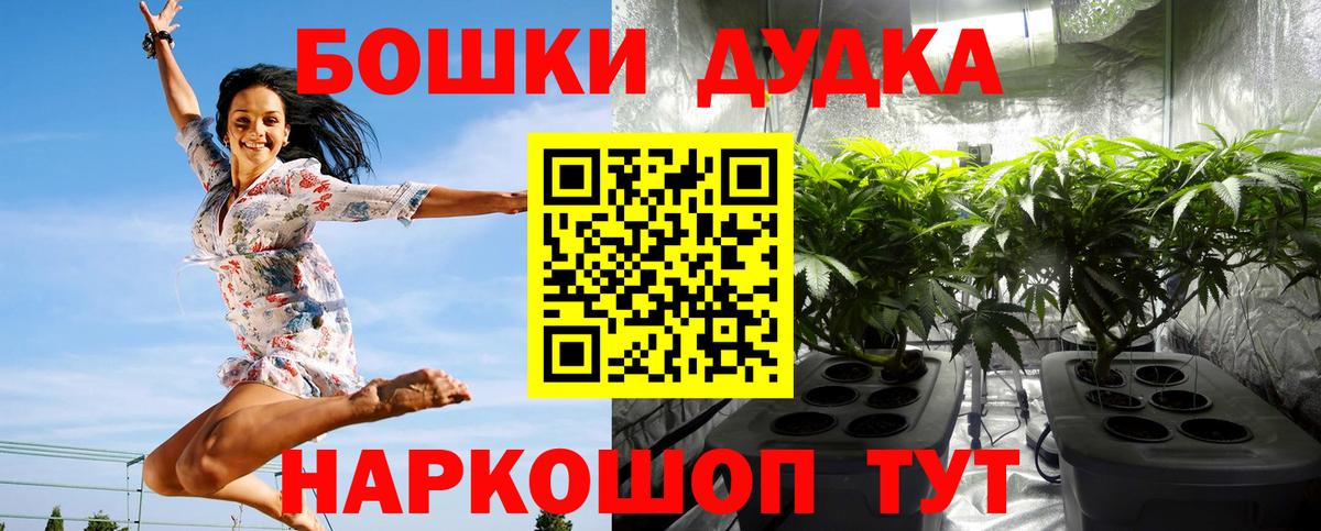 Конопля White Widow  Бор  Конопля Amnesia  Каннабис план  Бошки марихуана тримм 